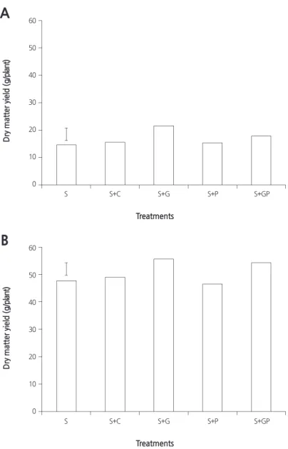 Fig. 1. Dry matter yield of Chinese cabbage. Plants were grown in 2013 (A) and 2014 (B)