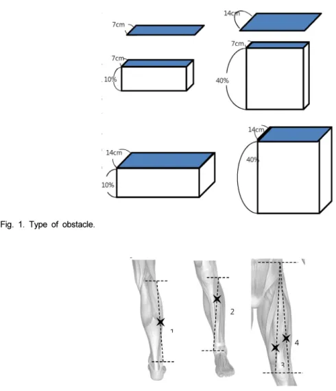 Fig. 2. Site of EMG