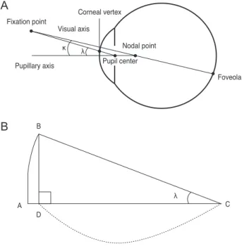 Fig. 1. (A) Schematic representation of the angle kappa compo- compo-nents. (B) Schematic diagram showing how to measure angle  kappa using ultrasound biomicroscopy and corneal topography