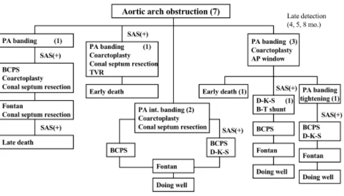 Table  5.  Patients  with  aortic  arch  obstruction
