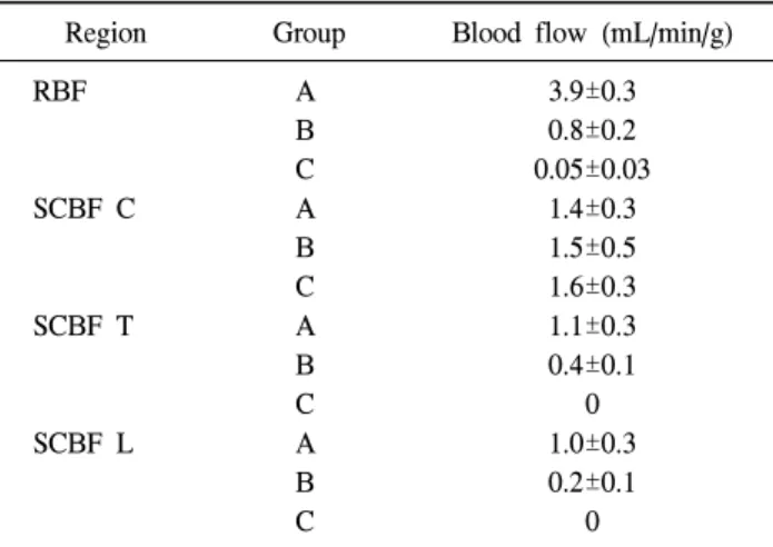Fig. 6. The calculated regional blood flow during aortic occlusion. 