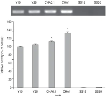 Fig. 6. Effects of trabecular outflow drugs on the expressin of  matrix metalloproteinases-2 (MMP-2) mRNA in trabecular  meshwork cells