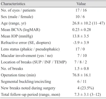 Fig. 3. Cryoretinopexy was performed on the break.