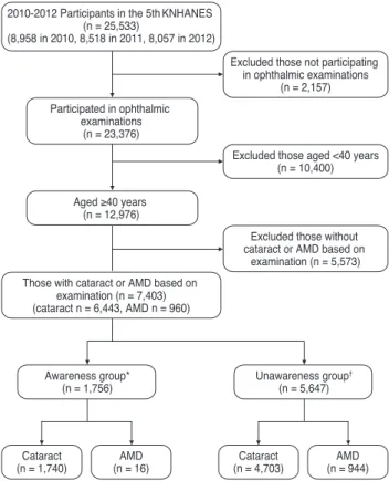 Fig. 1. Process for identifying and including study subjects. KN- KN-HANES = Korea National Health and Nutrition Examination  Survey; AMD = age-related macular degeneration