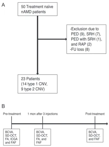 Fig. 1. (A) A total of 50 neovascular age-related macular de- de-generation (nAMD) patients visited our clinic, and 27 patients  were excluded