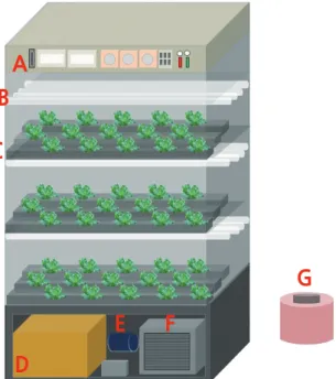 Fig. 2. Spectral distribution of the light qualities of RBW, RW, and RB LED used in a closed-type plant production system