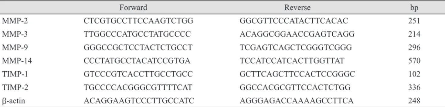 Table 1. MMP and TIMP primers