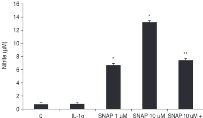 Fig. 1. Effect of S-nitroso-N-acetyl-penicillamine (SNAP) with  interleukin-1a (IL-1a) on the production of nitric oxide (NO) in  trabecular meshwork (TM) cells