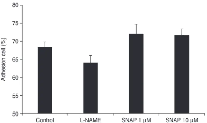 Fig. 4. Effect of N ω -nitro-L-arginine methyl ester (L-NAME)  and S-nitroso-N-acetyl-penicillamine (SNAP) on the migration  of trabecular meshwork cells