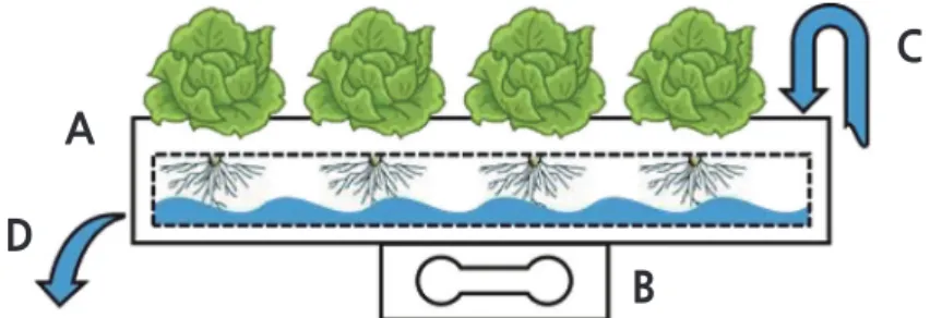 Fig. 1. A schematic side view of one channel with a load-cell for measuring the weight: NFT channel (A), load-cell (B), nutrient  solution supply (C), and drain (D).