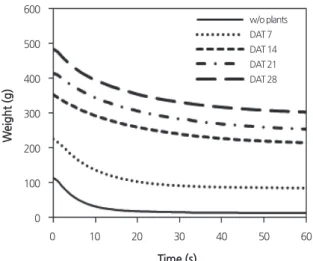 Fig. 2. Change in the total weights of plant, nutrient solution, and channel [W(t)] with time just after the supply of nutrient  solution stopped