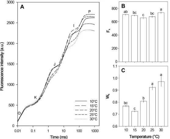 Fig.  1.  Changes  of  chlorophyll  a  fluorescence  OKJIP  transient  curves  (A),  the  fluorescence  intensity  at  K-step  (B),  the  ratio  of  variable  fluorescence  at  K-step  to  the  amplitude  F J -F O   (C)  in  leaves  of  garlic  (Allium  sa