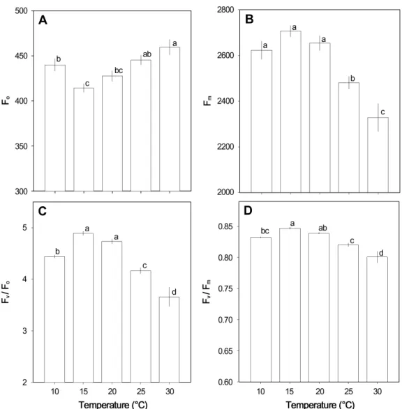 Fig.  2.  Changes  of  minimal  fluorescence  (F o ),  maximal  fluorescence  (F m ),  potential  photochemical  efficient  of  PSII  (F v /F o )  and  photochemical  efficiency  of  PSII  (F v /F m )  in  leaves  of  garlic  (Allium  sativum)  grown  for 