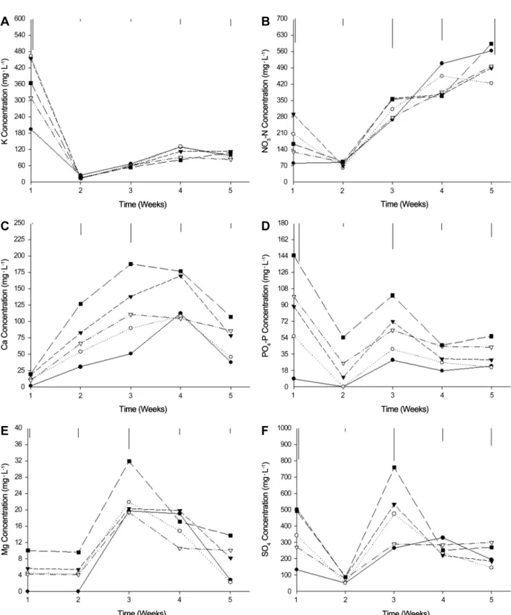 Fig.  4.  Changes  in  the  concentrations  of  macro  nutrients  in  the  soil  solution  of  CD+CRH  medium  during  cultivation  of  red-leaf  lettuce  as  influenced  by  various  levels  of  fused  superphosphate  as  pre-planting  fertilizer
