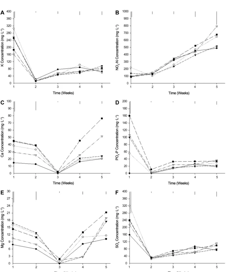 Fig.  5.  Changes  in  the  concentrations  of  macro  nutrients  in  the  soil  solution  of  CD+GAPB  medium  during  the  cultivation  of  red  leaf  lettuce  as  influenced  by  various  levels  of  fused  superphosphate  as  pre-planting  fertilizer