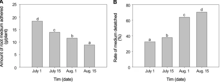 Fig.  2.  Influence  of  the  date  at  which  ‘Seolhyang’  strawberry  runner  plantlets  were  fixed  to  the  surface  of  expanded  rice  hull  root  medium  in  nursery  field  on  the  amount  of  rice  hull  adhered  to  the  plant  roots  (A)  and 