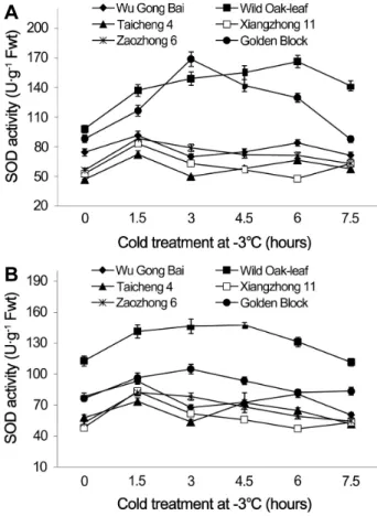 Fig.  5.  Changes  of  CAT  activity  in  leaves  (A)  and  fruits  (B)  of  loquat  accessions  during  cold  treatment  at  -3°C