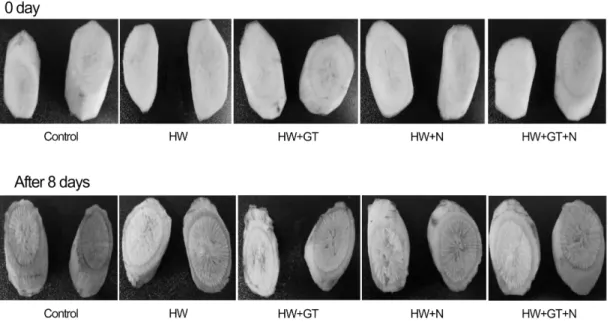 Fig.  5.  Appearance  after  storage  at  4°C  of  fresh-cut  burdocks  dipped  in  hot  water  and  browning  inhibitors  (CT,  control;  HW,  hot  water  at  55°C;  HW  +  GT,  hot  water  at  55°C  +  0.5%  green  tea  extract;  HW  +  N,  hot  water  a