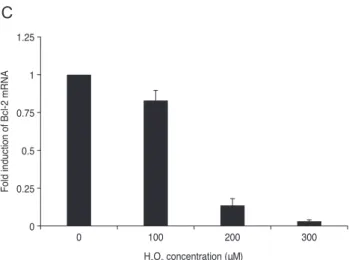 Fig. 2. Apoptosis and expression of vascular endothelial growth  factor (VEGF)-A and B-cell leukemia/lymphoma (Bcl)-2 after  treatment of retinal pigment epithelial (RPE) cells with H 2 O 2 