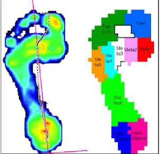 Fig  1.  10  domain  areas  for  plantar  foot  pressure 위해  정상  성인  남성  12명,  여자 3명을 연구에 참 여시켰다