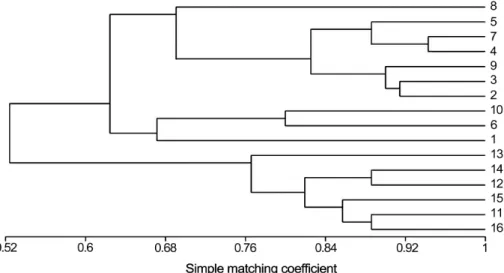 Fig. 2. Dendrogram showing genetic relatedness in 15 progeny plants and their original cultivar ‘Benihoppe’ [Fragaria × ananassa (Duch.)]
