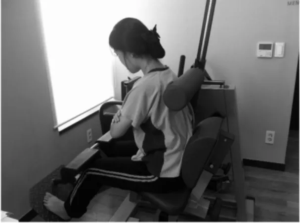 Fig 1. Lumbar extensor test(M3)