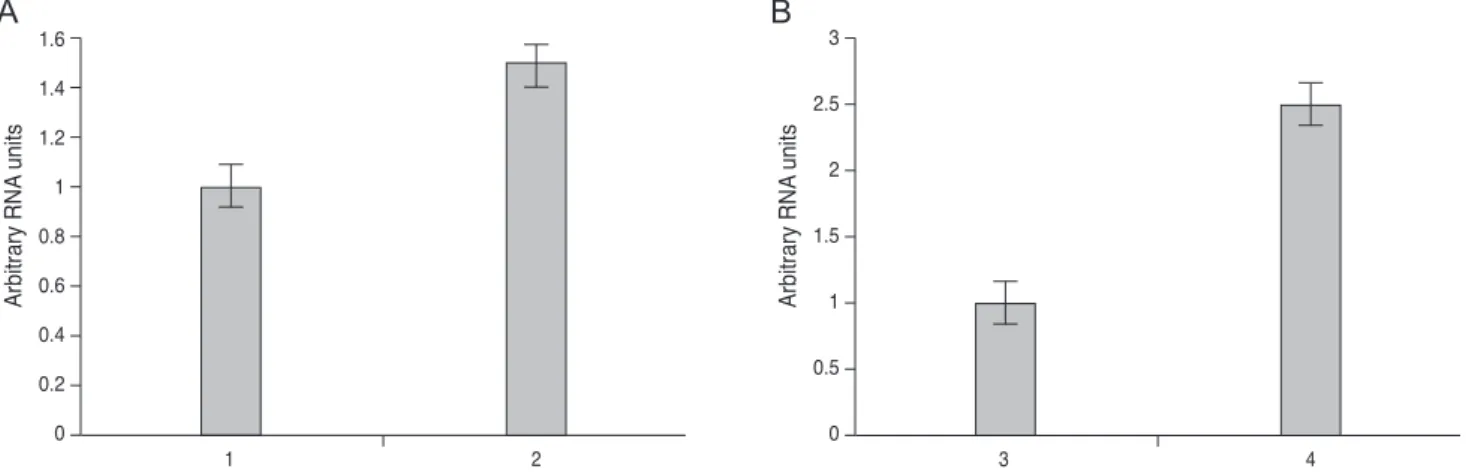 Table 1. Corneal sensitivity following LASIK surgery in the rabbit eye (mm, mean ± SE)