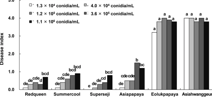 Fig.  6.  Development  of  Fusarium  wilt  of  six  melon  cultivars  according  to  inoculum  concentration