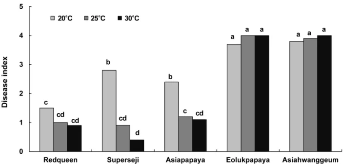 Fig.  7.  Development  of  Fusarium  wilt  of  six  melon  cultivars  according  to  incubation  temperature
