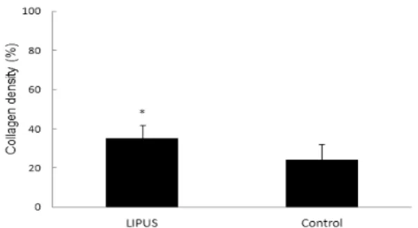Fig 4. The effect of LIPUS (3 MHz, 2 ms: 8 ms,  SATA 0.4 W/㎠ , 120 J/㎠) on the type I  collagen mRNA expression in the wound tissue  at day 7 after excision wound