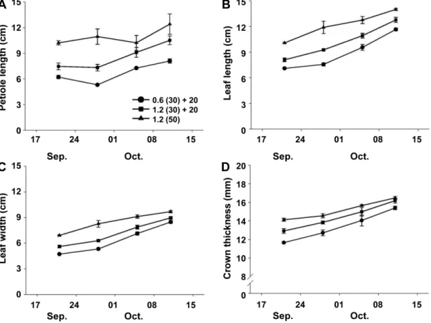 Fig.  1.  Effects  of  nutrient  solution  strength  during  seedling  period  on  petiole  length  (A),  leaf  length  (B),  leaf  width  (C)  and  crown  thickness  (D)  of  strawberry  ‘Daewang’  after  planting