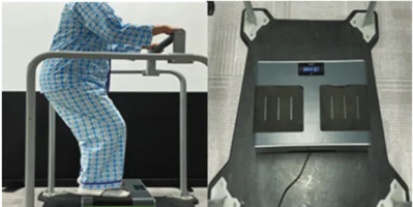 Fig. 2. Whole body vibration training.