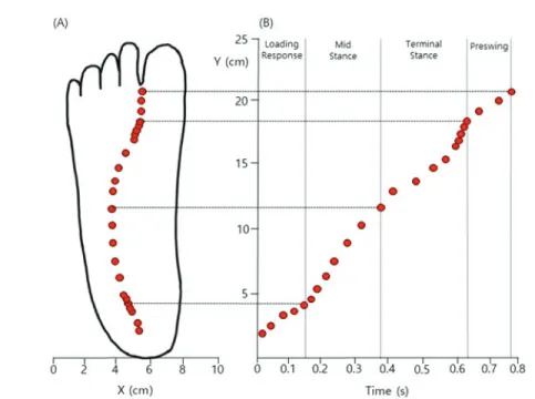 Fig. 1. The trajectory of the center of pressure (COP) in the foot. (A) The COP trajectory in X-Y in the stance phase