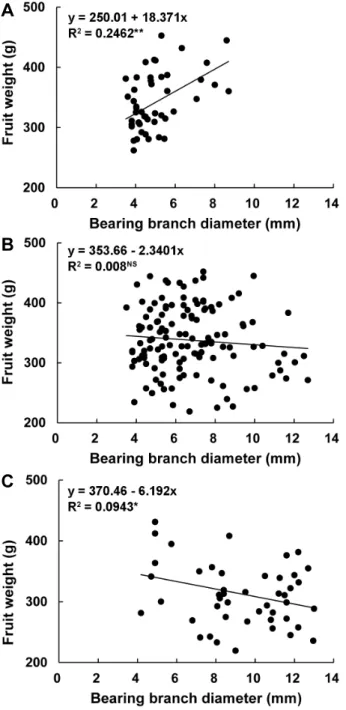 Fig.  2.  Relationship  between  bearing  branch  diameter,  downward  (A),  horizontal  (B),  and  upward  (C)  direction,  and  fruit  weight  of  ‘Kawanakajima  Hakuto’  peach  at  the  maturity  date.