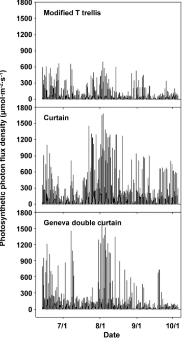 Fig.  3.  Net  CO 2   assimilation  rate  of  grape  ‘Cheongsoo’  leaves  under  1,500  μmol･m -2 ･s -1   PPFD  by  different  training  systems.