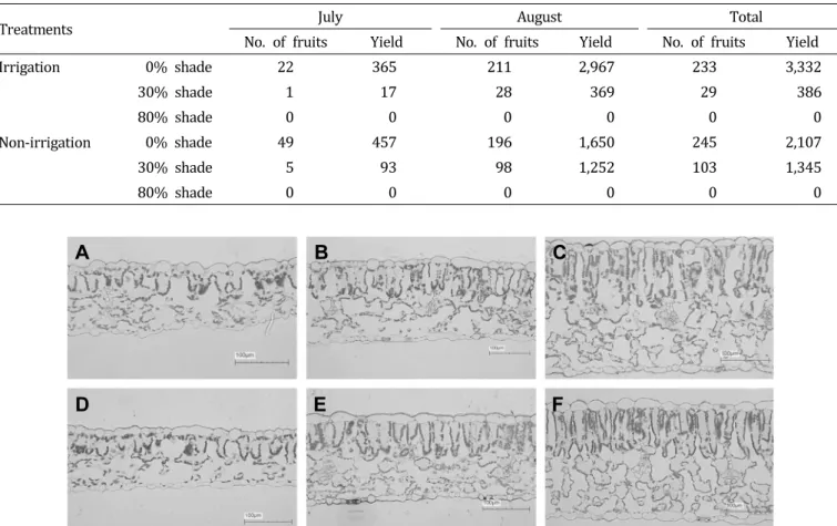 Table  2.  Effect  of  shading  and  irrigation  difference  after  transplanting  on  the  number  of  harvested  fruits  and  yield  (g/12  plants)  of  hot  pepper.
