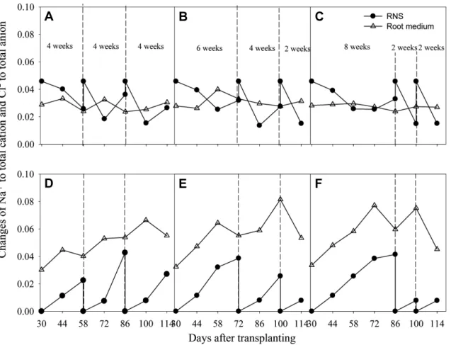 Fig.  7.  Change  in  Na +   ratio  to  total  cations  (upper)  and  Cl-  ratio  to  total  anions  (bottom)  in  the  recycled  nutrient  solution  (RNS),  root  medium,  and  ion  uptake