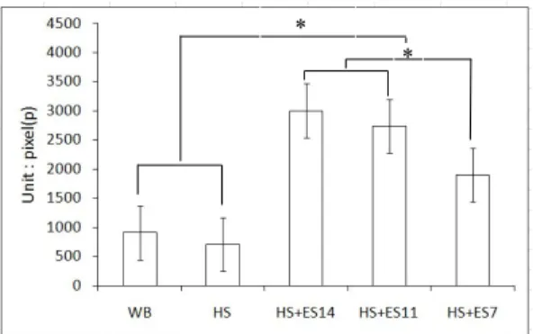Fig  2.  Comparison  of  VEGF  Expression