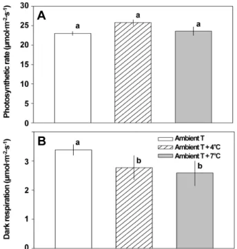 Fig.  3.  Differences  in  transpiration  rate  (A),  stomatal  conductance  (B),  and  water  use  efficiency  (WUE,  C)  from  leaves  of  Chinese  cabbage  (Brassica  campestris  subsp
