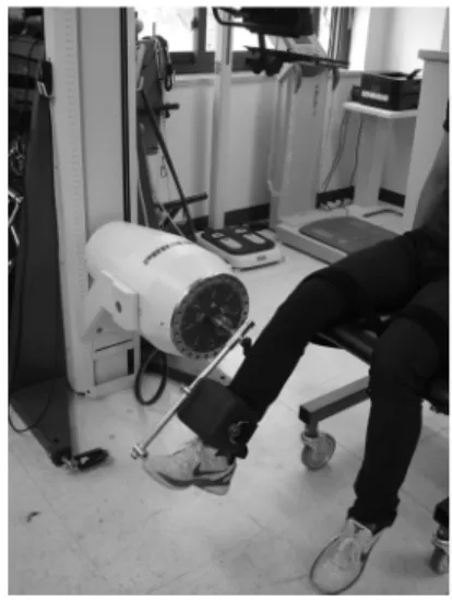 Fig. 1. Knee extension
