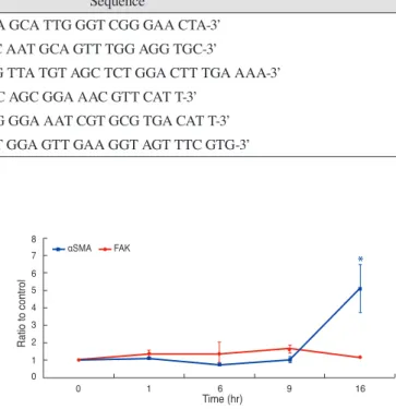 Fig. 1. Quantitative reverse transcription polymerase chain  reaction for focal adhesion kinase (FAK) and α smooth muscle  actin (αSMA) after exposure to 5 ng/mL of transforming  growth factor-β1 for up to 16 hours