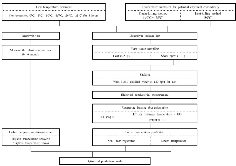 Fig.  1.  Modeling  process  for  cold  tolerance  assessment  of  Pittosporum  tobira.