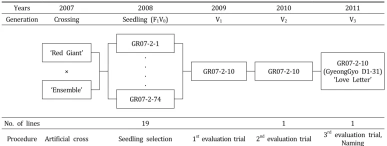 Table  1.  Flower  characteristics  of  parental  plants,  a  reference  cultivar,  and  a  new  rose  cultivar,  ‘Love  Letter’.
