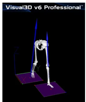 Fig. 2. Visual3D motion analysis of the magnitudes and  directions of the GRF of both limbs in the 3D space  during gait.