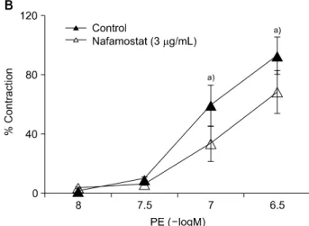 Fig. 1. Cumulative contraction–response curves for contractile re- re-sponses to phenylephrine (PE) in the control solution, (A) 3  μg/mL of papaverine, and (B) 3 μg/mL of nafamostat mesilate
