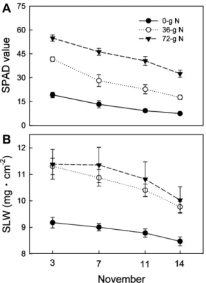 Fig. 1. Changes in SPAD value and SLW (specific leaf weight)  after fruit harvest on Nov