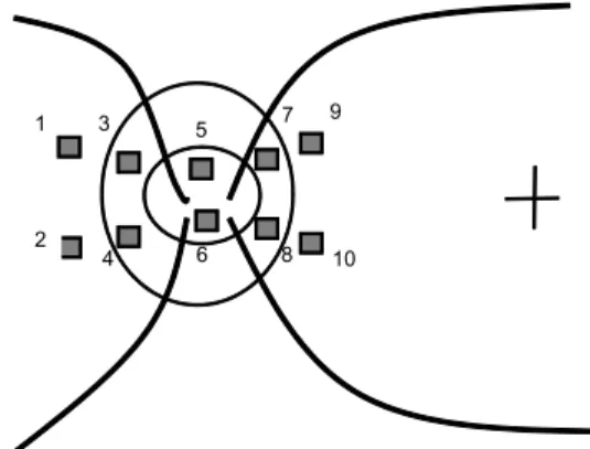 Fig. 1. Schematic diagram showing locations where perfusion pe- pe-rimeters were measured