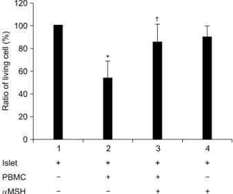 Fig.  3.  Islet  viability  by  PMA/Ionomycin  treated  PBMCs.  Pan- Pan-creatic  islets  were  cultured  with  PMA/I  treated  PBMCs  with  or  without  the  α-MSH  for  48  hr