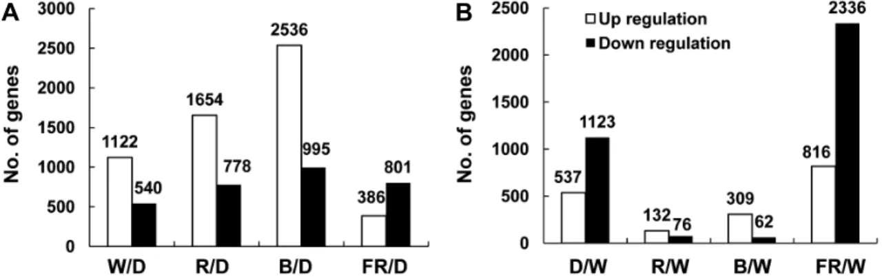 Fig. 2. Light-regulated Gene expression changes: Numbers show expressed genes up-regulated (white square) and down-regulated  (black quality) more than two fold by each light quality condition (P value < 0.05)