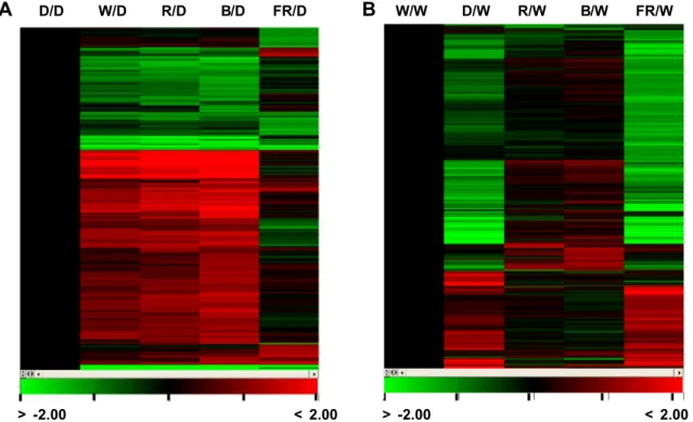 Fig. 3. Overview of light-regulated genome expression by cluster display: Hierarchical clustering analysis was performed with genes  up or down regulated more than twofold by each light quality condition